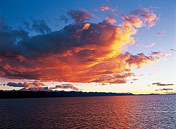 《原神》须弥新CM短片 8月13日播出前瞻特别节目