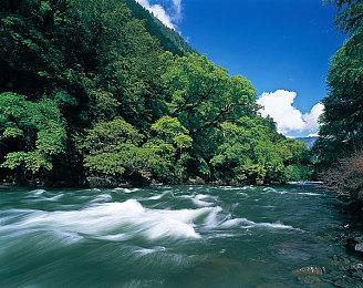 《零红蝶：重制版》TGS 2025官方预览宣传片